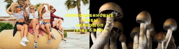 кокс Вяземский