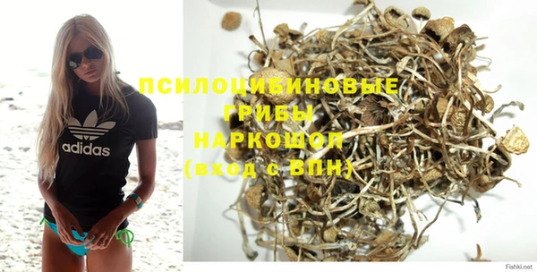 кокс Вяземский